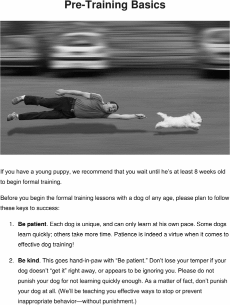 Product picture  Secret information of dog training techniques